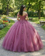 Dusty Rose Off Shoulder Lace 3D Flower Applique Quinceanera Dress