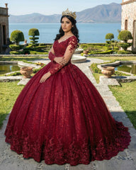 Glitter Long Sleeve Princess Burgundy Quinceanera Dresses