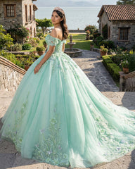 Exquisite Princess Ball Gown Cap sleeve Quinceanera Dresses with 3D Appliques
