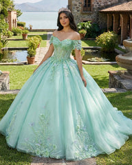 Exquisite Princess Ball Gown Cap sleeve Quinceanera Dresses with 3D Appliques