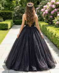 Glitter Tulle Sweetheart Black Long Quinceanera Dresses